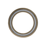 Carbon steel inner and outer rings - PTFE gasket